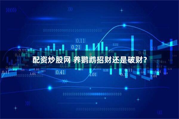 配资炒股网 养鹦鹉招财还是破财？