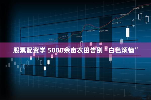 股票配资学 5000余亩农田告别“白色烦恼”