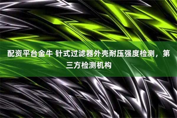 配资平台金牛 针式过滤器外壳耐压强度检测，第三方检测机构